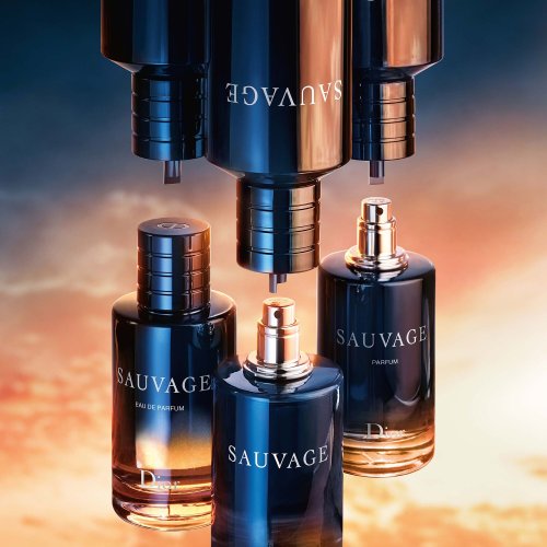 Dior-Sauvage - Perfume Dior-Sauvage - Perfume